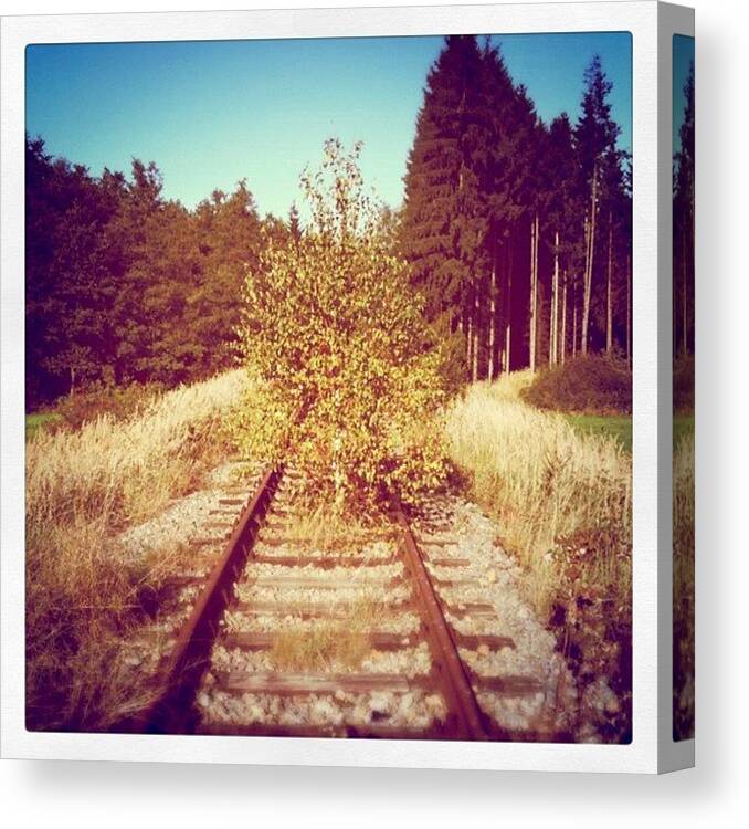 Fine Art Canvas Print featuring the photograph It is not a dead end by Florian Divi