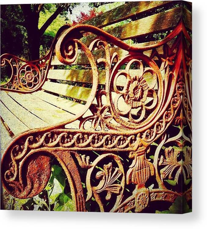 Igaddict Canvas Print featuring the photograph #ivy #bench #rust #old #vintage by A Loving