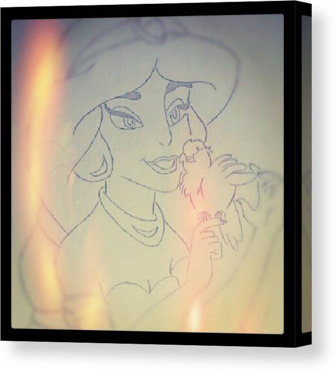 Draw Canvas Print featuring the photograph Jasmine Beauty Queen Of Aladdin by Anand Mudaliar
