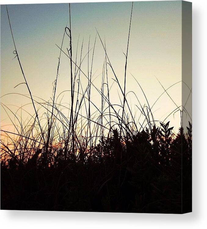 Silhouette Canvas Print featuring the photograph Just Close Your Eyes, The Sun Is Going by Drew R