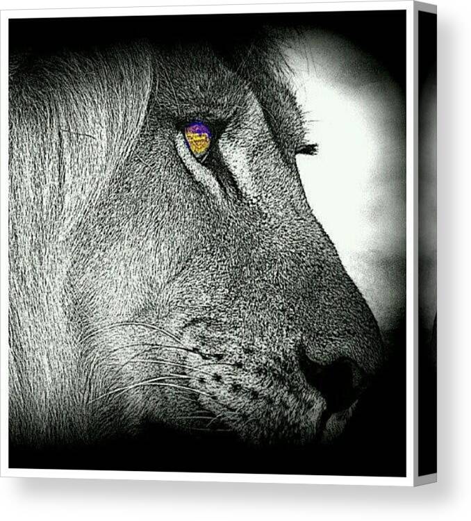 Wildlife Canvas Print featuring the photograph King Of The Jungle. #wildlife #ihoh005 by Mary Carter
