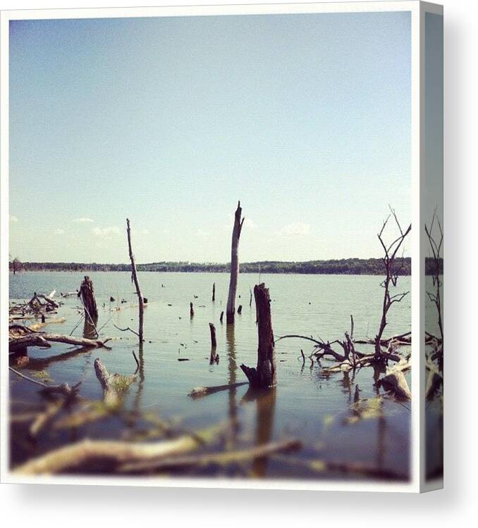 Swim Canvas Print featuring the photograph Lake Shore by Kristina Parker