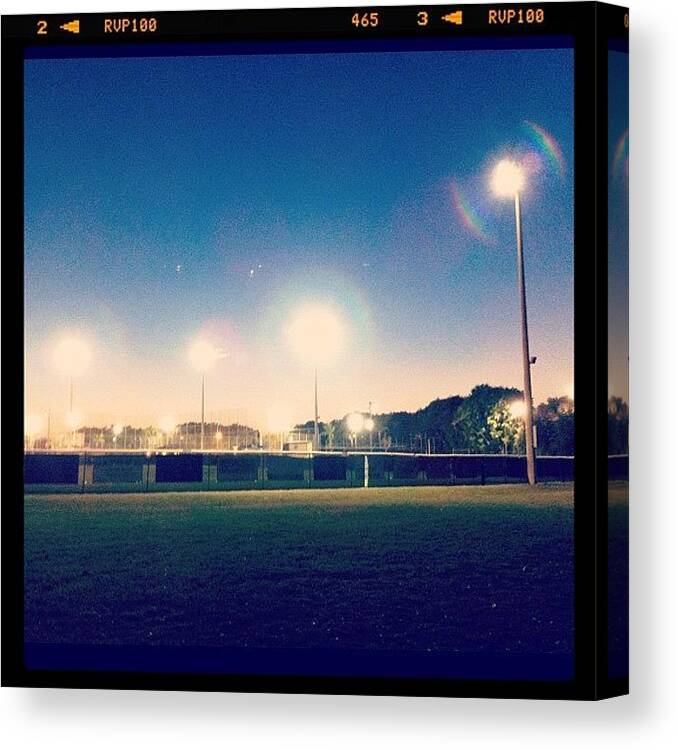  Canvas Print featuring the photograph Late Night Walks With @thefloridaweasel by Stephanie Peacock