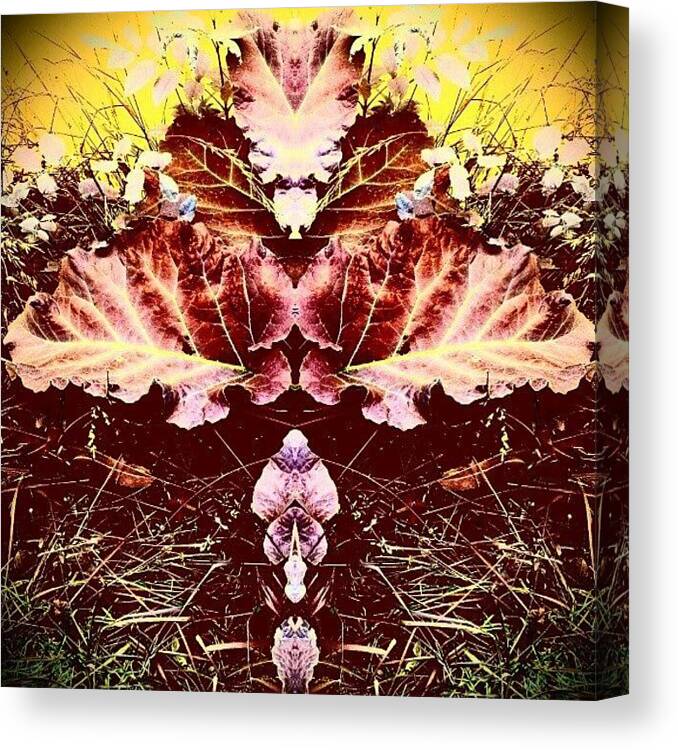Mariannedow Canvas Print featuring the photograph Leaf-mania II #leaf #leaves #android by Marianne Dow