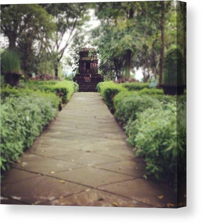 Statues Canvas Print featuring the photograph #leaves #leave #trees #statue #road by Aileen Editha