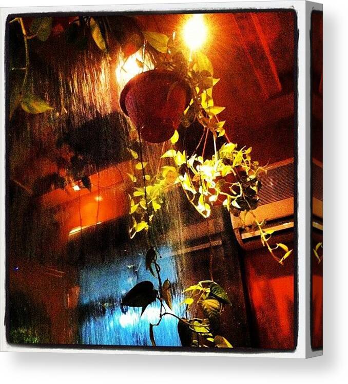 Decoration Canvas Print featuring the photograph #leaves #light #decoration #pot #vase # by Samy Ilyas