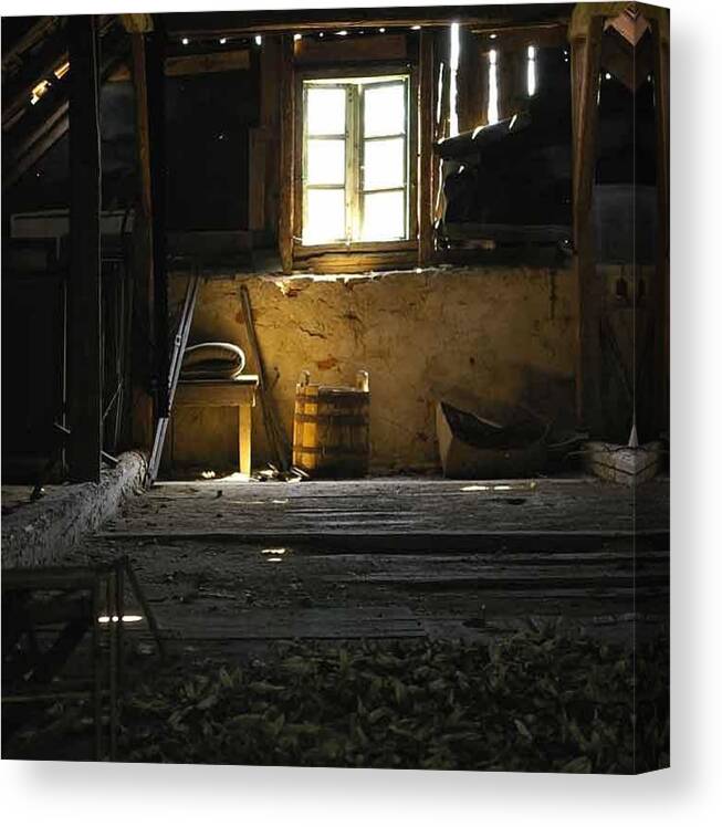 Linden Canvas Print featuring the photograph Linden flowers left to dry in the attic by Draia Coralia