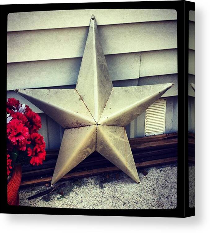  Canvas Print featuring the photograph Lone Star Texas by Dana Coplin