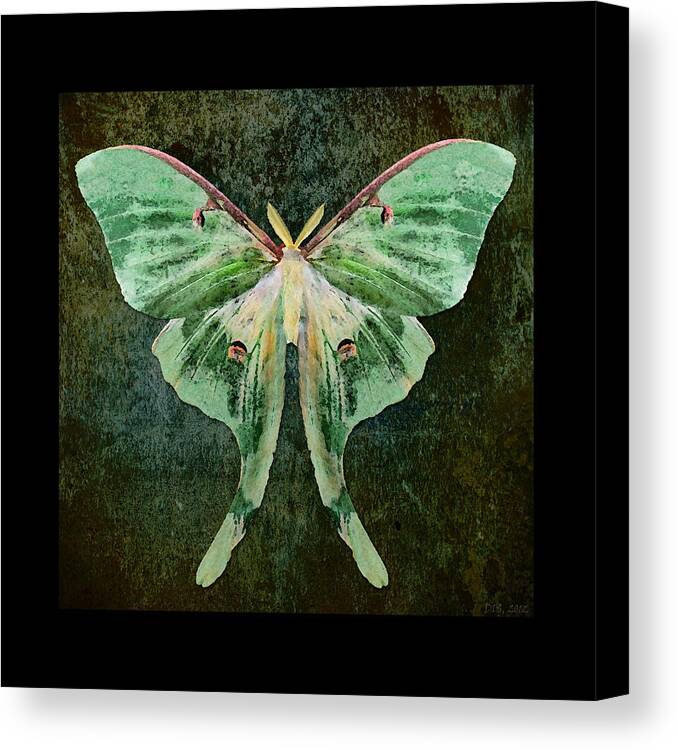 Moth Canvas Print featuring the digital art Luna by Deborah Smith