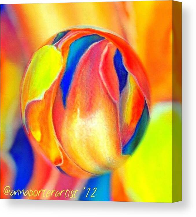 Art Canvas Print featuring the photograph Magnolia Marble by Anna Porter