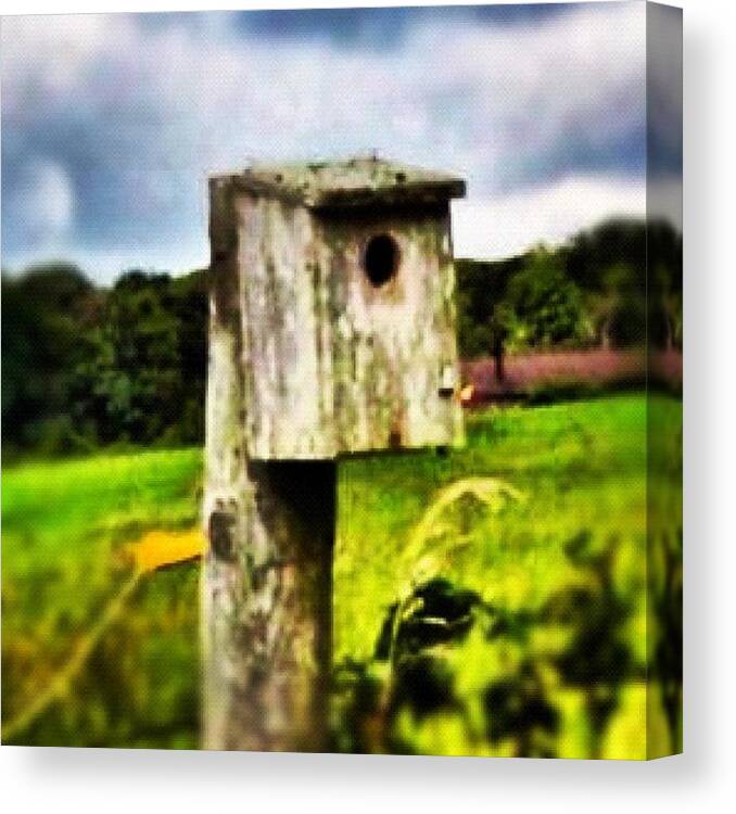  Canvas Print featuring the photograph Make A Little Bird House In Your Soul by John Griffin