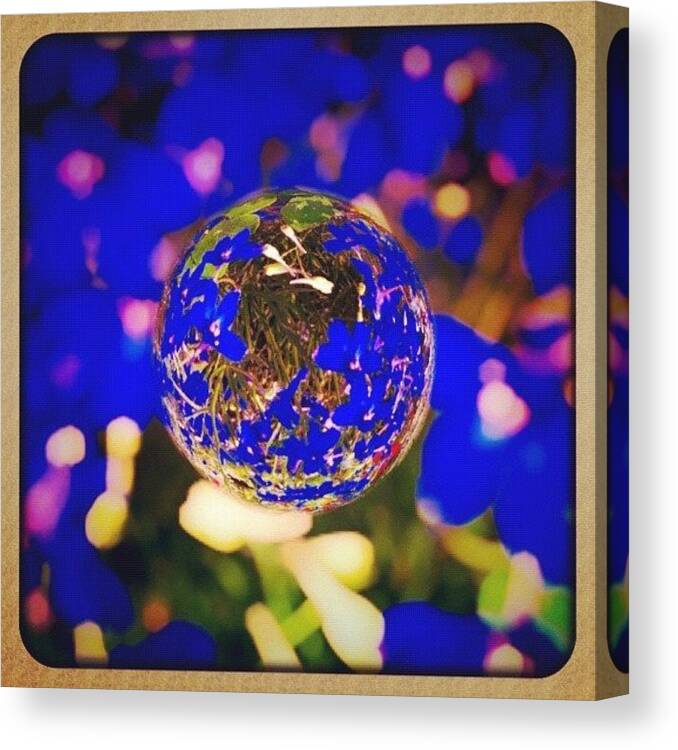 Spring Canvas Print featuring the photograph #marble #blue #flower #gang_family by Jason Fang