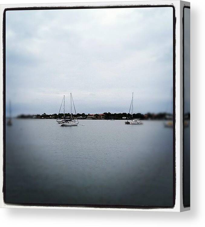 Sailing Canvas Print featuring the photograph Matanzas Bay by Michele Green Williams
