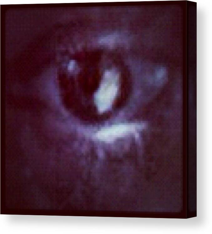 Me Canvas Print featuring the photograph #me #eye #eyes #igcaptions #igdungeon by Jenni Martinez
