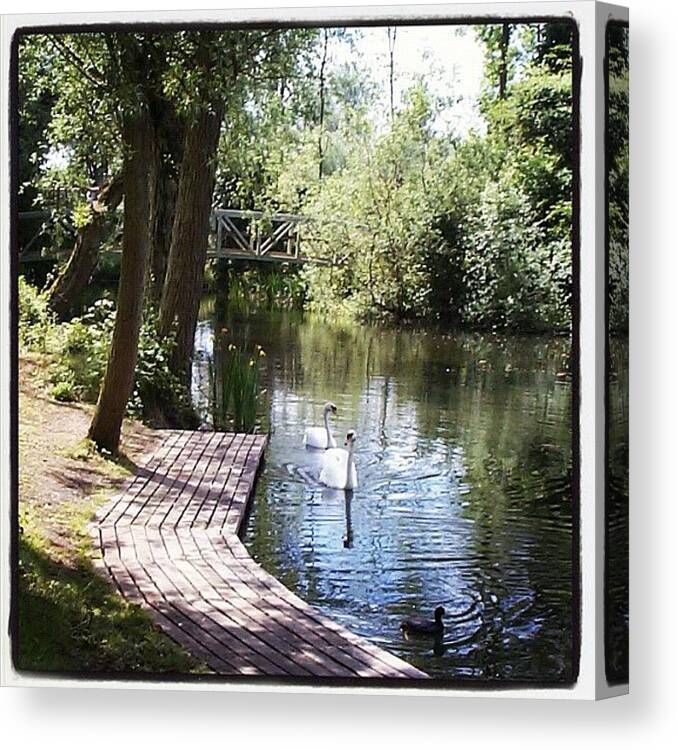 Bridge Canvas Print featuring the photograph Milton Country Park, Milton Near by Shelley Walsh