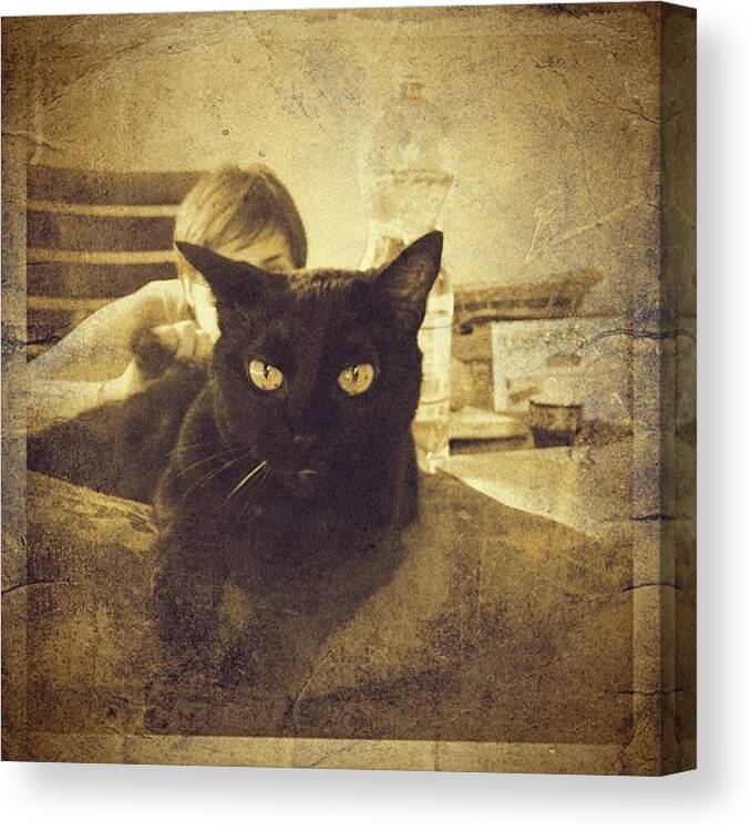 Instagram Canvas Print featuring the photograph Minou #iphone #instagram #iphoneography by Roberto Pagani