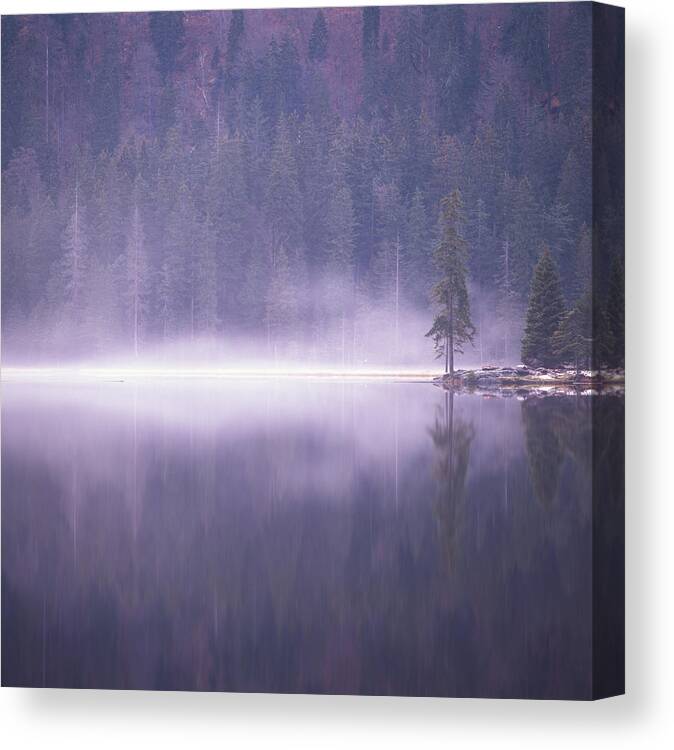 Mist Canvas Print featuring the photograph Mist rising from a lake by Ulrich Kunst And Bettina Scheidulin