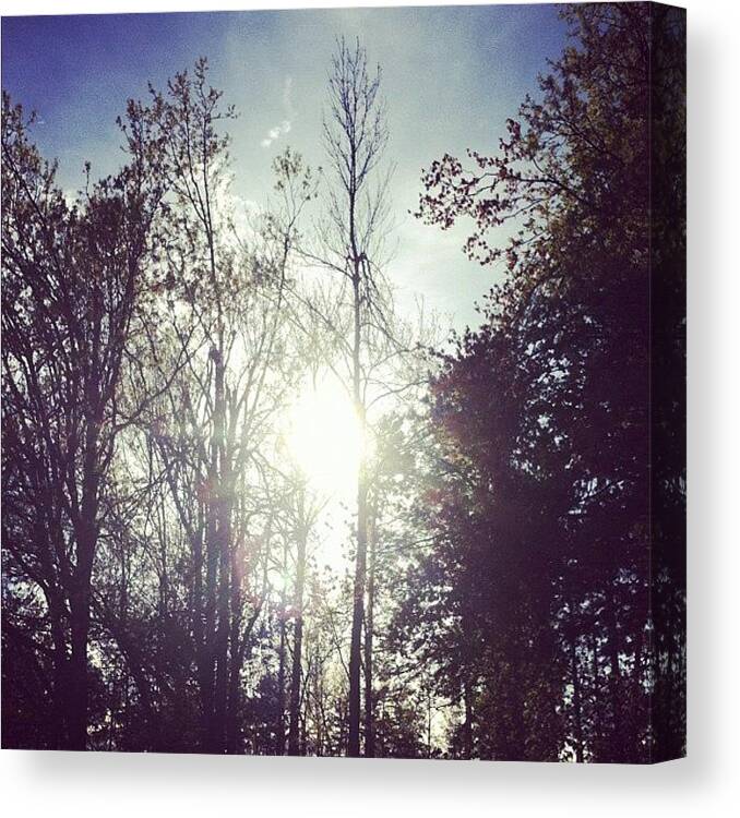 Nature Canvas Print featuring the photograph My Dads #backyard. #nature #trees by Jenna Luehrsen