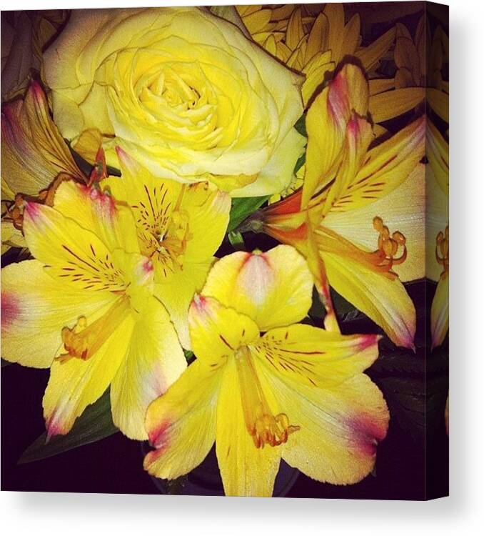 Beautiful Canvas Print featuring the photograph My Flowers Have Blossomed So by Ashley Shine