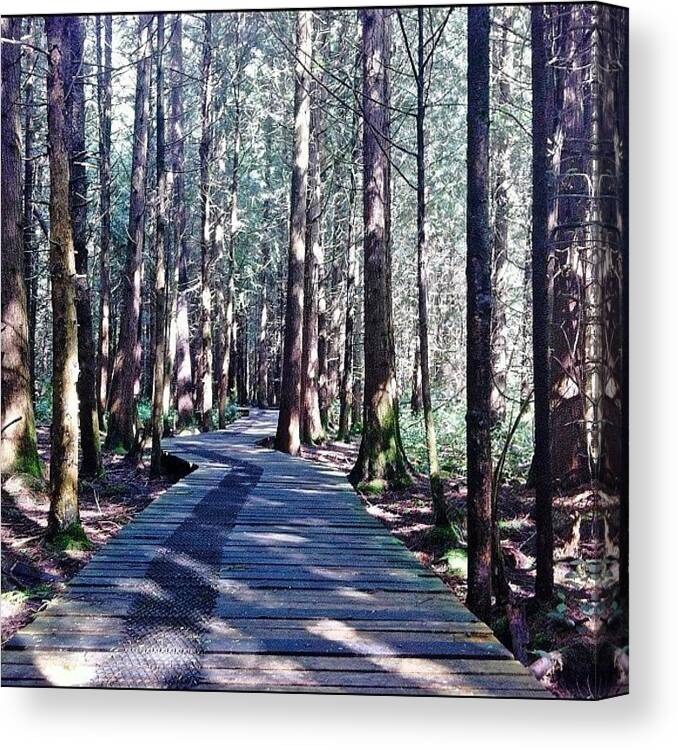 Instagram Canvas Print featuring the photograph My #perspective During A Stroll Through by Victor Wong