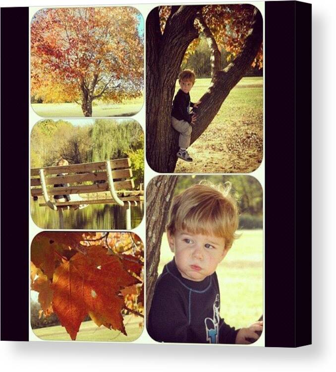 2010 Canvas Print featuring the photograph My Sisters Grandson Last #fall #autumn by Lori Lynn Gager