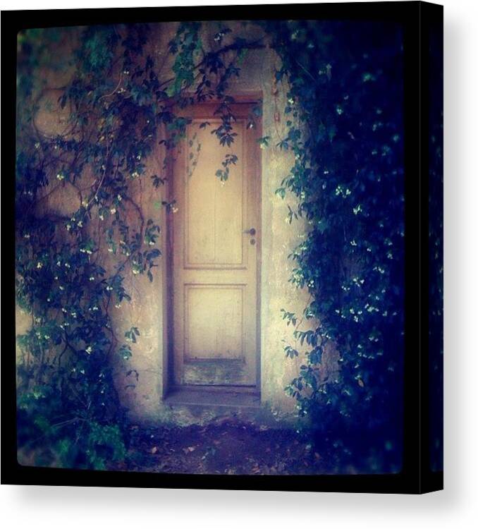Doorporn Canvas Print featuring the photograph Mysterious Door #door #puerta #campo by Diego Jolodenco