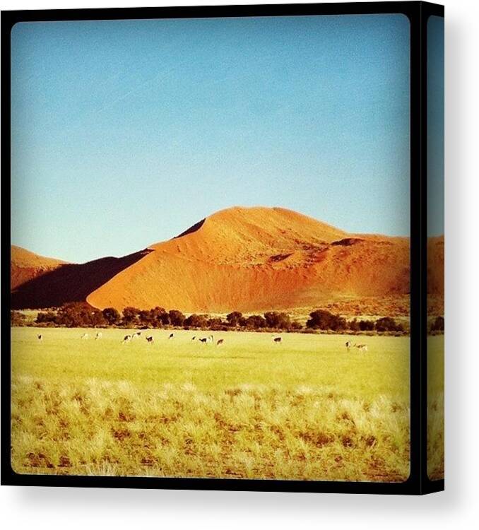 Fratomhoneymoon Canvas Print featuring the photograph Namib Desert by Francesca Sara