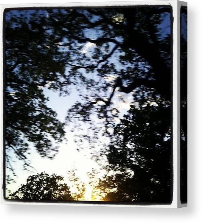 Motion Canvas Print featuring the photograph #nature #blur #tree #motion by Clifford McClure