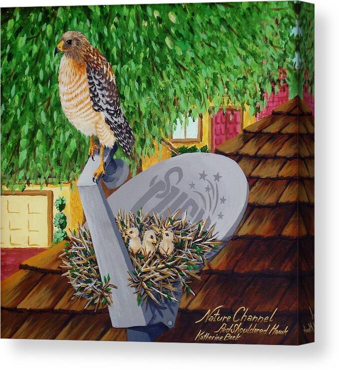 Print Canvas Print featuring the painting Nature Channel- Red Shouldered Hawk by Katherine Young-Beck