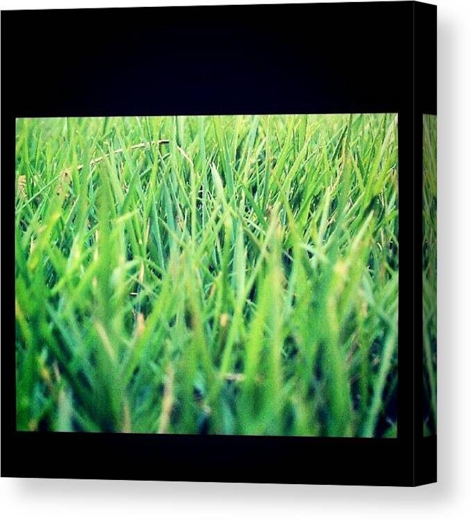 Scenery Canvas Print featuring the photograph #nature #scenery #grass by Andrea Stocker