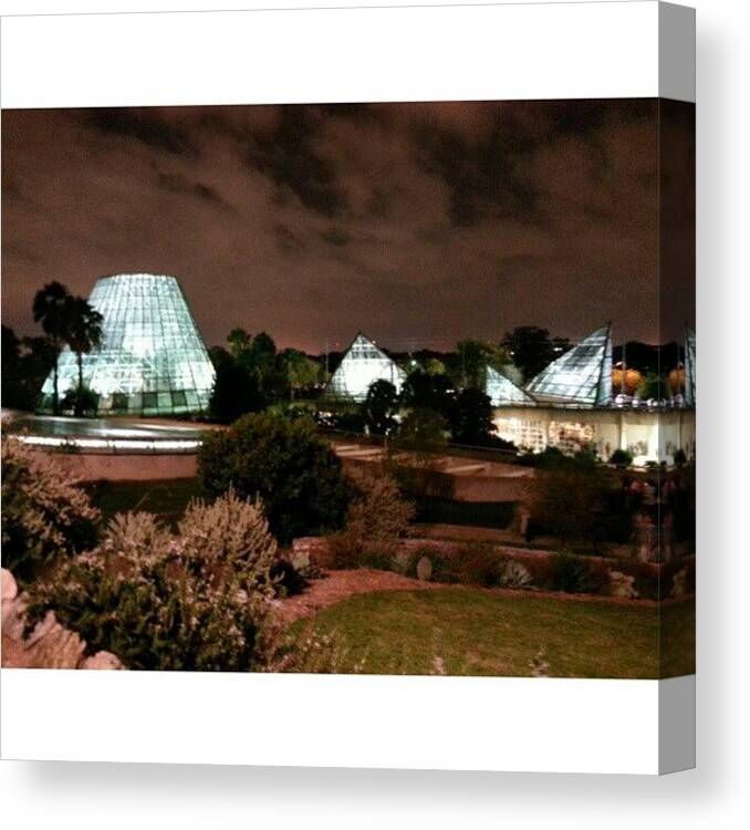 Naturescene Canvas Print featuring the photograph New Series: The San Antonio Botanical by Clifford McClure