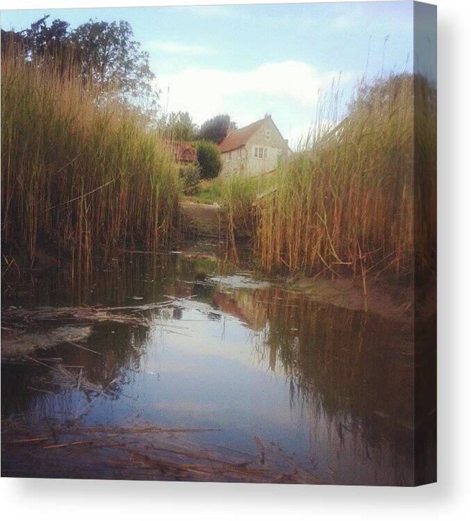 Water Canvas Print featuring the photograph Nice Place #reeds #reflection #clouds by Jonny Luter