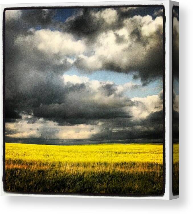 Beautiful Canvas Print featuring the photograph #northdakota #field #yellow #clouds by Emily Nielsen