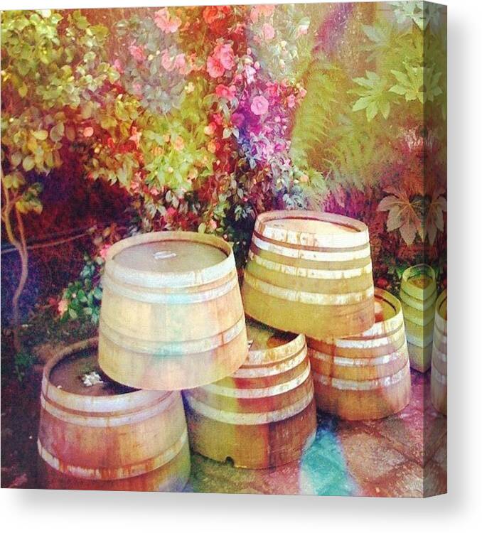 Barrels Canvas Print featuring the photograph Oak Casks #winery #napa_ca #vineyard by Anna Porter