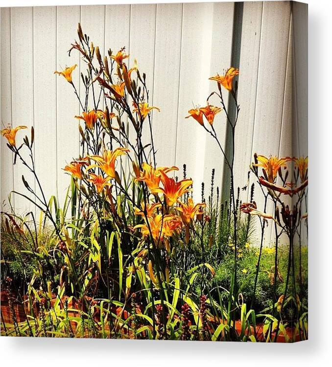 Flowers Canvas Print featuring the photograph Orange Lily #flowers #lily #garden by Lisa Thomas