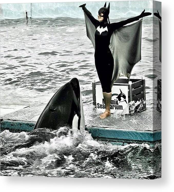 Batwoman Canvas Print featuring the photograph #orcas #batwoman #superhero #animals by Alexandre Stopnicki