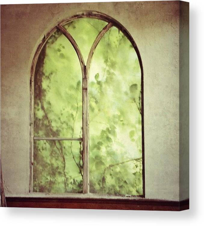 Vacant Canvas Print featuring the photograph Overgrown Chapel Window by Ian Edward