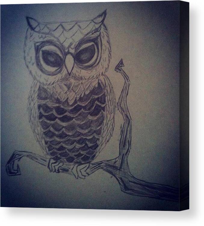 Hand Drawn Canvas Print featuring the photograph Owl Doodle by Crystal White