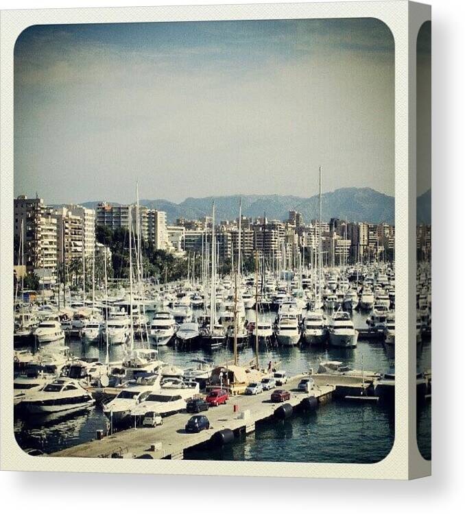 Palma Canvas Print featuring the photograph Palma bay by Louise Teolis