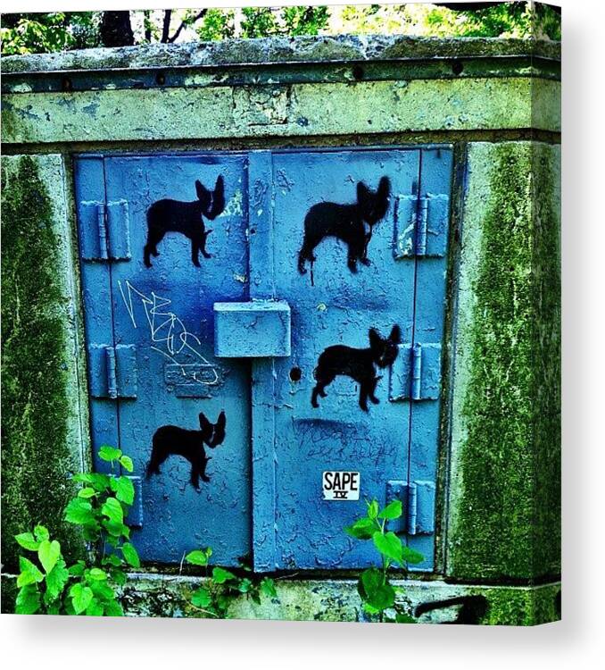 Mobilephotography Canvas Print featuring the photograph Park Graffiti by Natasha Marco