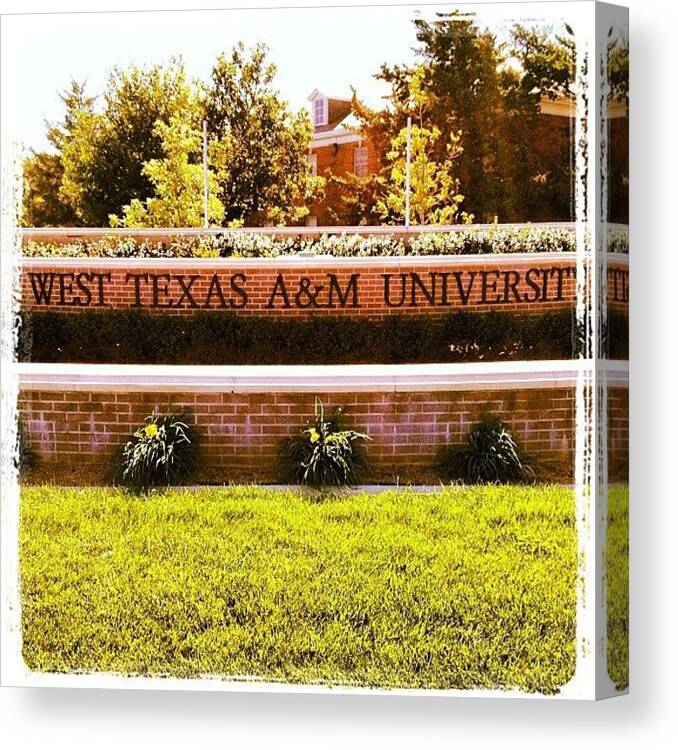 A Canvas Print featuring the photograph Part Of My Afternoon Jog! #texas #a&m by Patrick Brazell