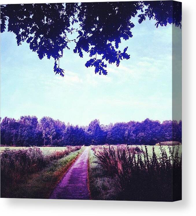 Woods Canvas Print featuring the photograph Path To A Happy Mind by Chrit Werdmolder Smeets