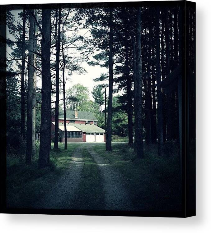 Horses Canvas Print featuring the photograph Path To Farm House by Jeff Koromi