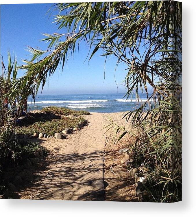 Wave Canvas Print featuring the photograph Path To Paradise by Kyle Krone