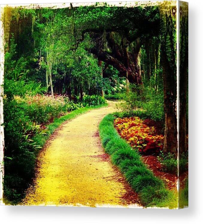 Tagstagram Canvas Print featuring the photograph Pathway #path #nature #instagram by Melissa Fleming