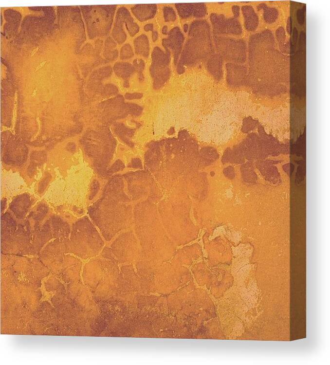 Peeling Canvas Print featuring the photograph Peeling ochre wall by Nic Squirrell