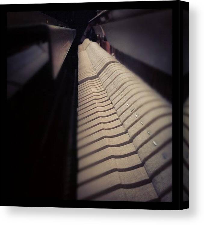 Inside Canvas Print featuring the photograph Piano Hammers. #picoftheday by Davis M