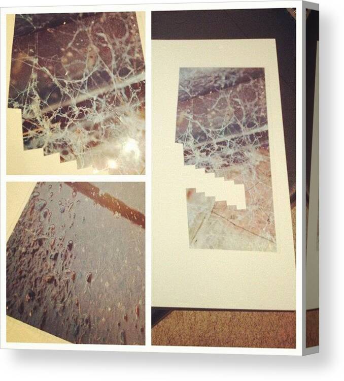 Instaart Canvas Print featuring the photograph #picstitch #acetate #photo #cobweb by Grace Shine