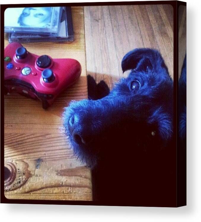 Controller Canvas Print featuring the photograph Please Mommy Can I Play Mw2? Ive Been A by Tara Hebbes