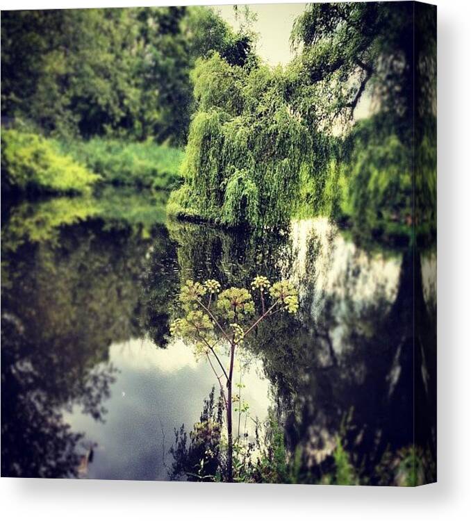 Beautiful Canvas Print featuring the photograph Pond Of The Weeping Willow by Anne Marie